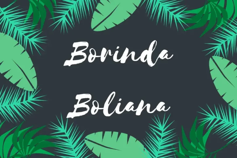 Borinda Boliana: A Bamboo Marvel of Resilience and Beauty