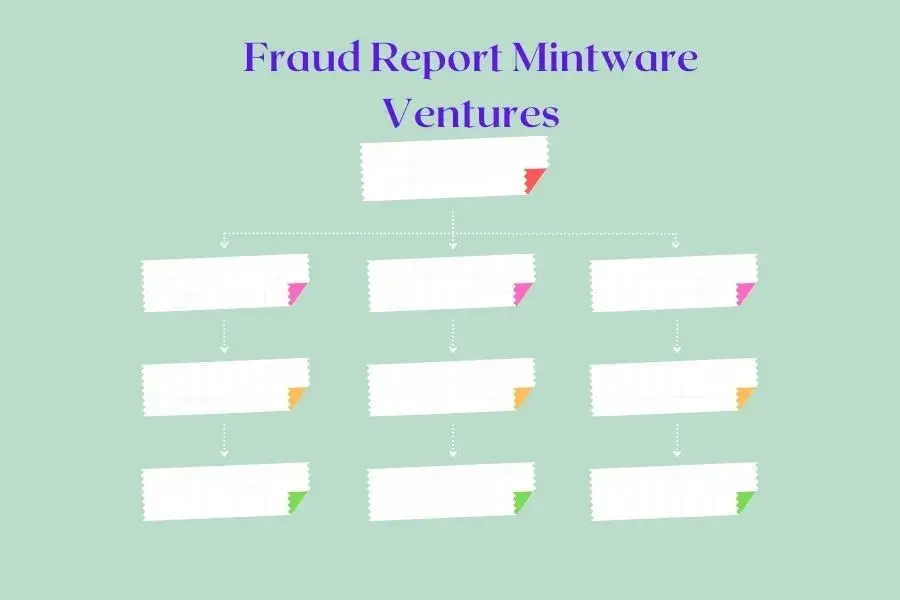 Fraud Report Mintware Ventures