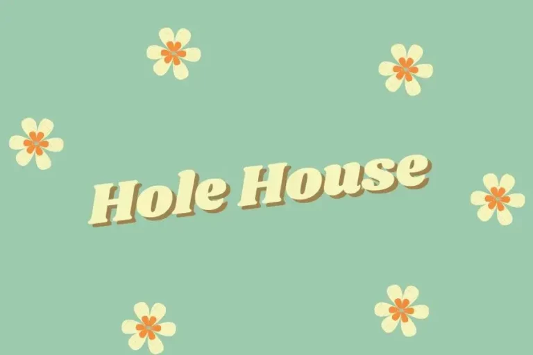 Exploring Hole House: A Unique Casino Management Game