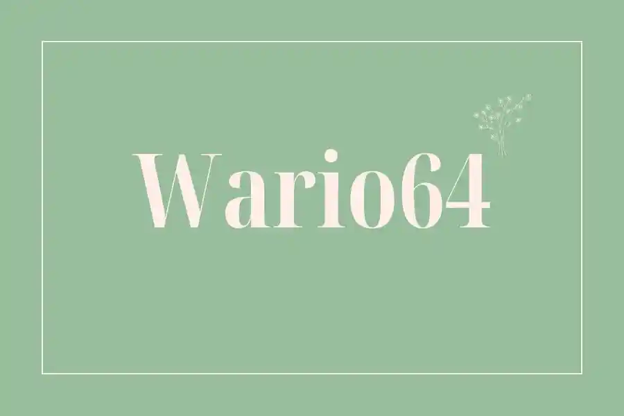 Wario64